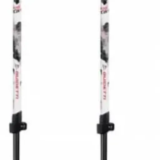 Test GUIDETTI Bâtons de randonnée GR20 : des bâtons sérieux pour la rando engagée