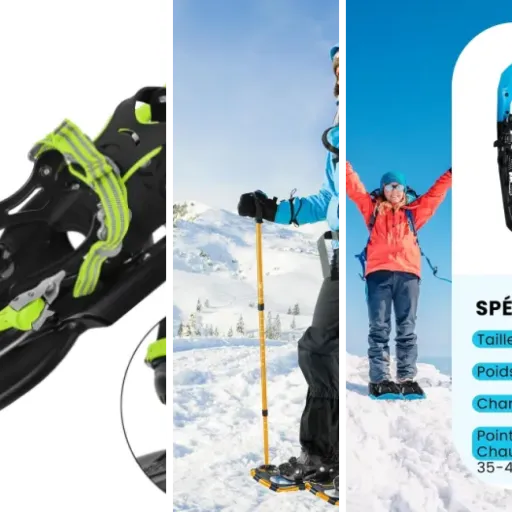 Top Bâtons raquettes neige